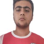 امیرحسین همت بهاری