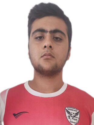 امیرحسین همت بهاری