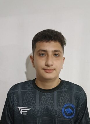 آریا صفرزاده