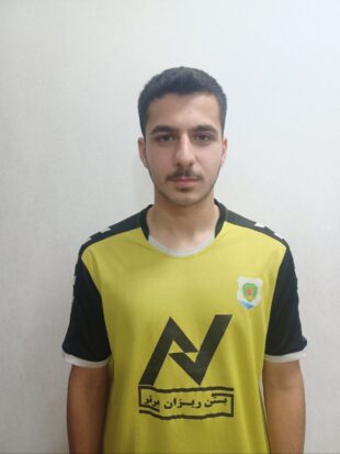 آرتین علی زاده