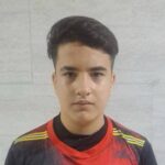 پارسا دارابی