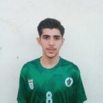 ماکان حمیدی