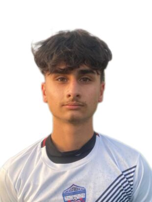 محمدپارسا عبدالهی